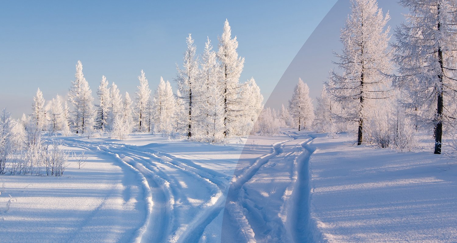 Snow-covered forest road splitting into multiple tracks, representing uncertainty and alternative courses of action in decision-making.