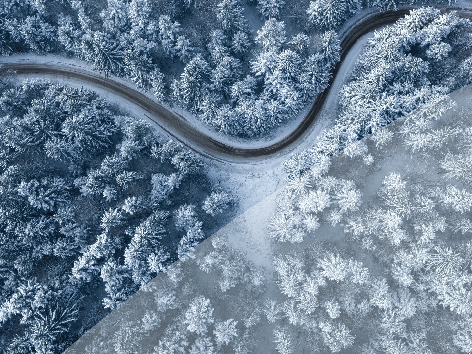 Road leading through snowcapped winter forest. Aerial view.