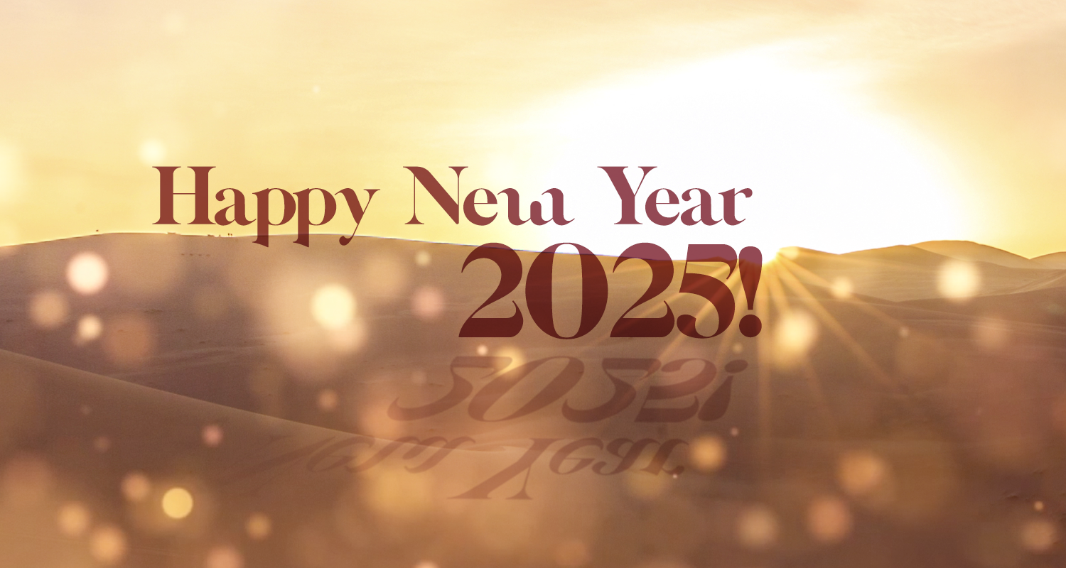 Happy New Year 2025!